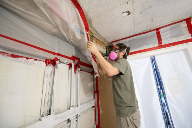 Best Mold Prevention Services  in Homosassa Springs, FL